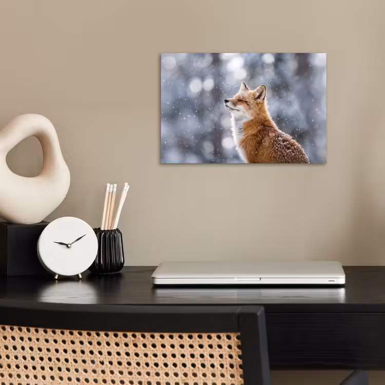Poster - Vos - Sneeuwval - Portret - Winter - Sfeervol — 2