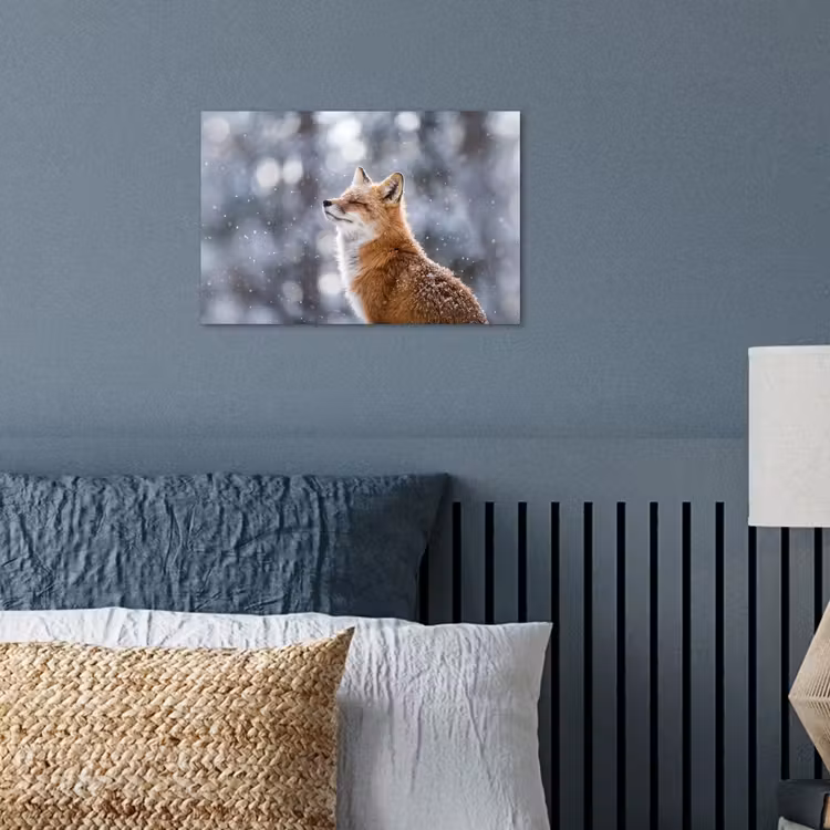 Poster - Vos - Sneeuwval - Portret - Winter - Sfeervol — 3