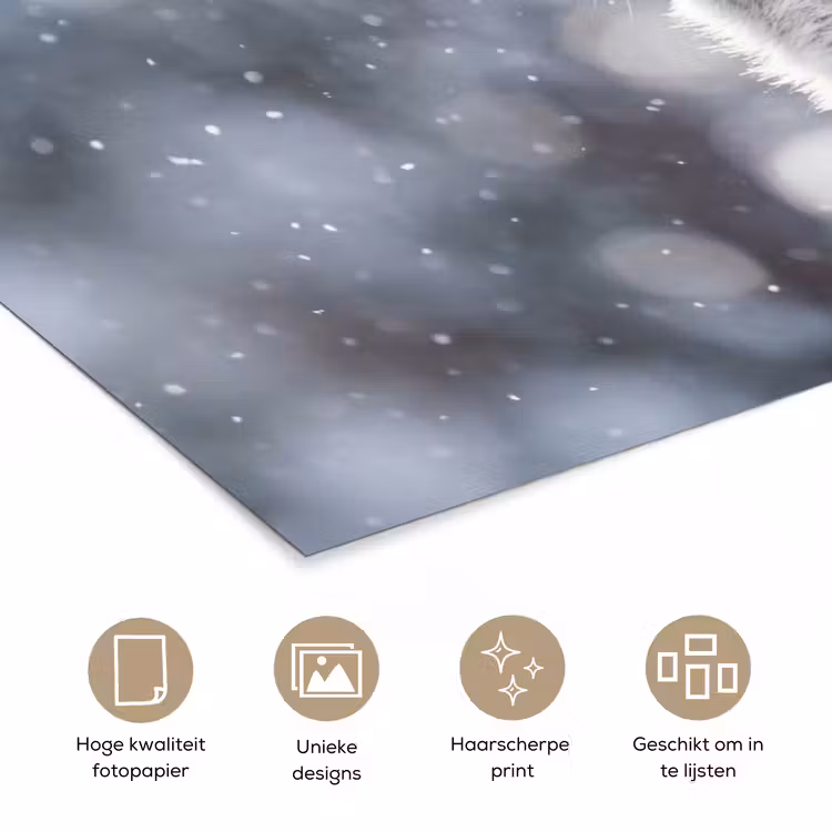 Poster - Vos - Sneeuwval - Portret - Winter - Sfeervol — 5
