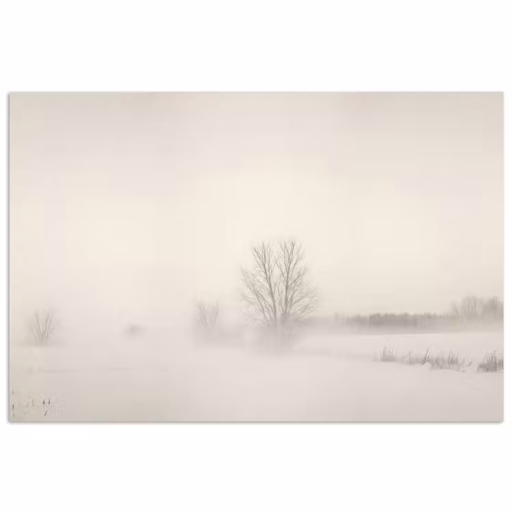 Poster - Boom - Mist - Sneeuw - Winter - Minimalistisch — 1
