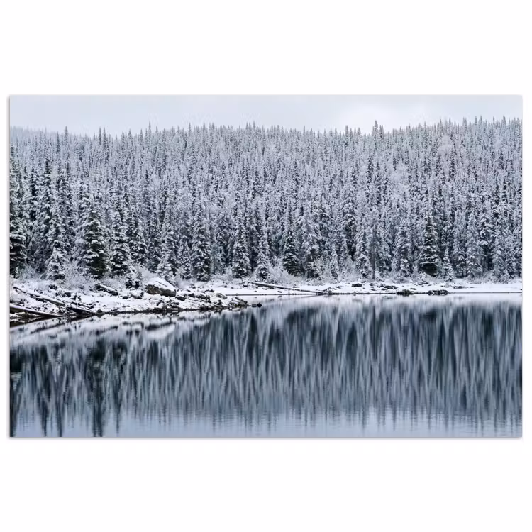 Poster - Bos - Reflectie - Meer - Winter - Serene — 1