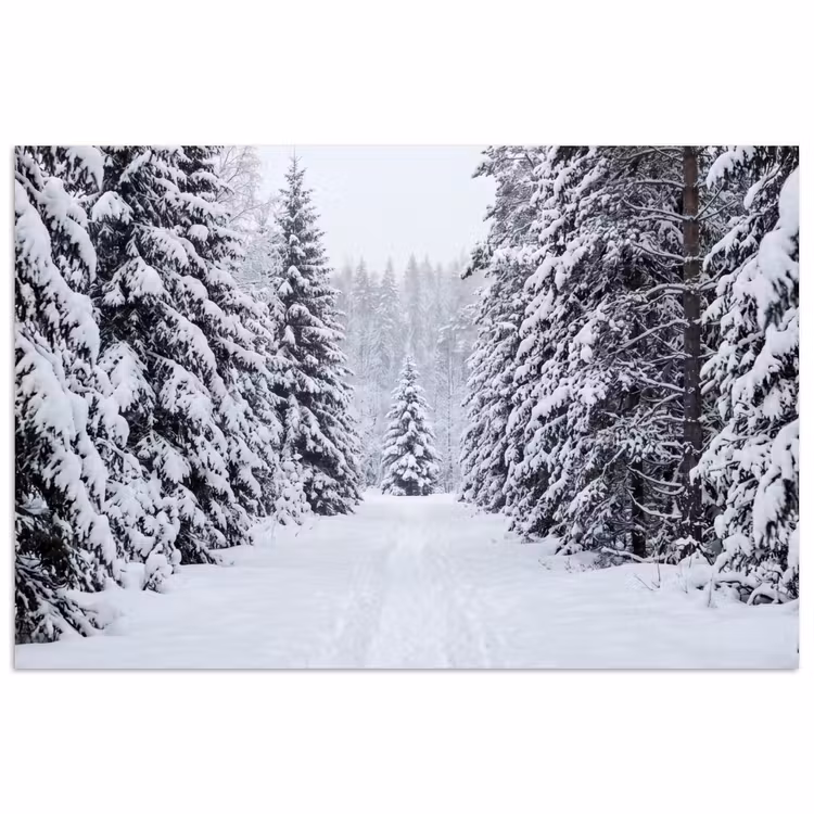 Poster - Bos - Winter - Sneeuw - Pad - Natuur — 1