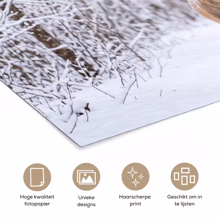 Poster - Hert - Winter - Bos - Natuur - Wit — 5