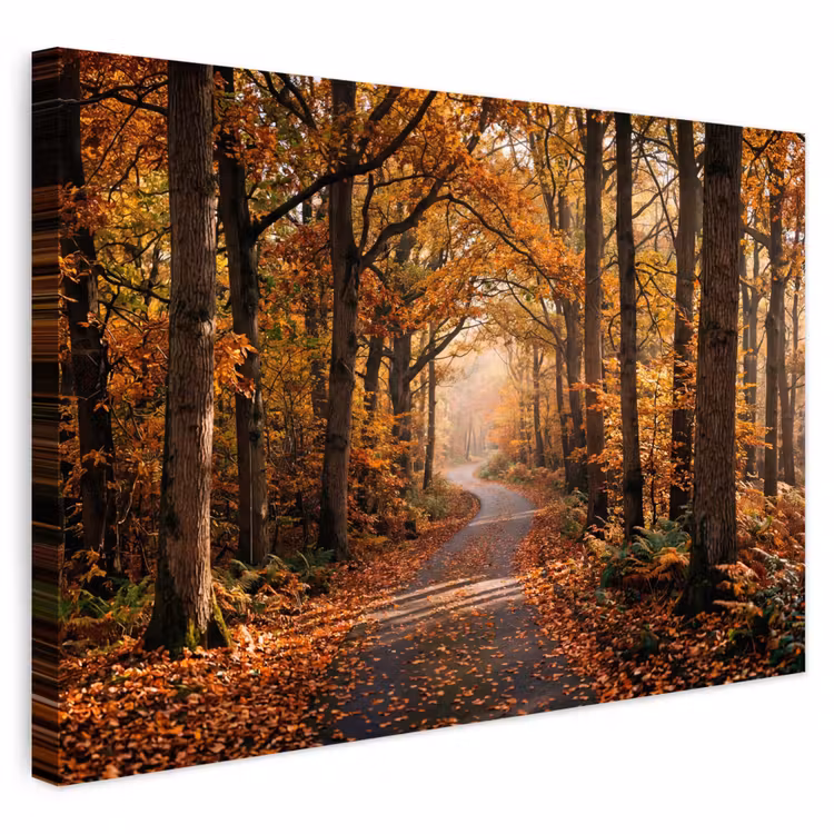 Buiten canvas - Bospad - Herfstbos - Bladeren - Oranje - Nostalgisch