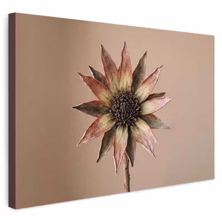 Buiten canvas - Droogbloem - Protea - Vintage - Beige - Rustiek