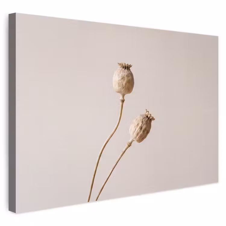 Buiten canvas - Papaverbollen - Droogbloemen - Minimalistisch - Beige - Rustig