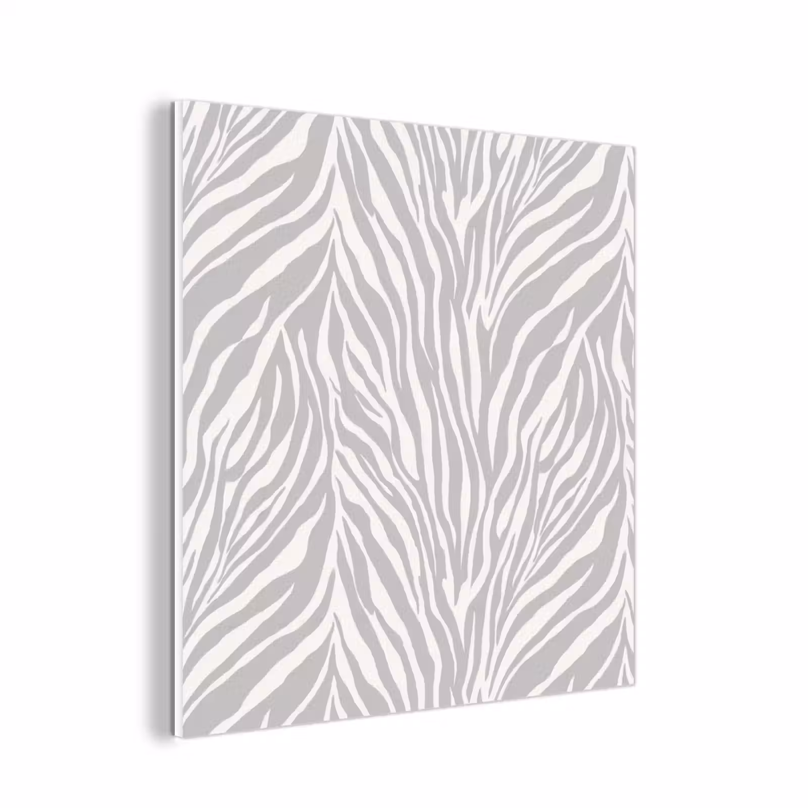 Forex - Zebra - Motief - Grijs — 1