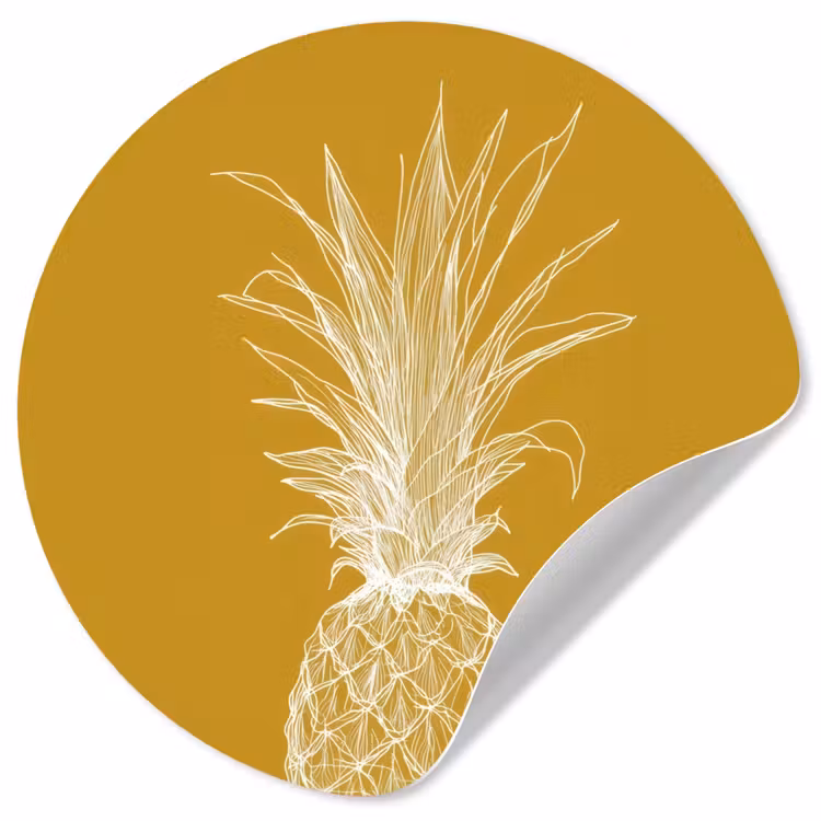 Behangcirkel - Lijnillustratie - Ananas - Bladkroon - Okergeel — 1