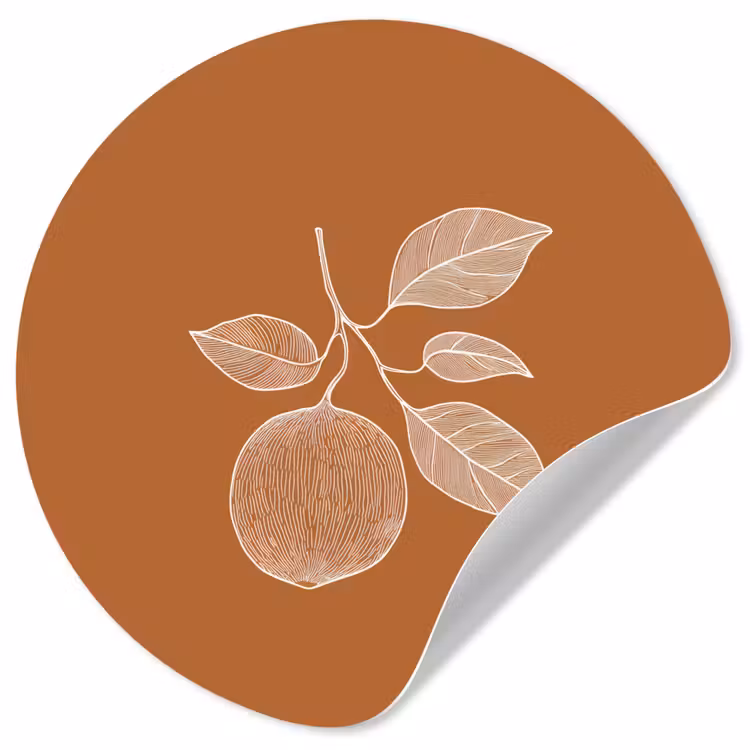 Behangcirkel - Sinaasappel - Getekend - Bladeren - Bruin — 1