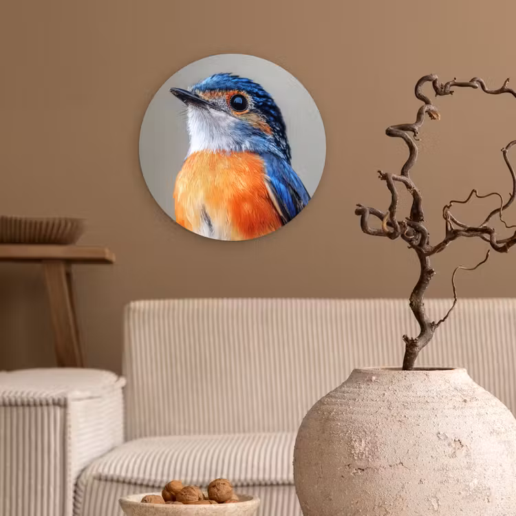 Muurcirkel - Kleurrijk - Vogeltje - Veren - Blauw — 2