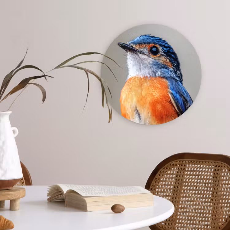 Muurcirkel - Kleurrijk - Vogeltje - Veren - Blauw — 4