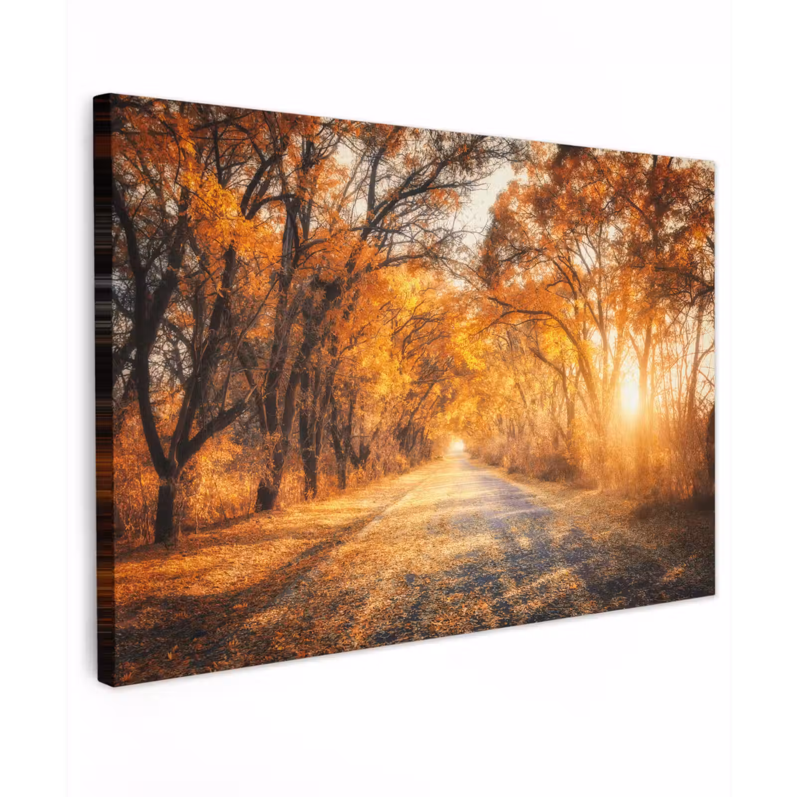 Buiten canvas - Bos - Herfst - Bomen - Bospad - Natuur — 1