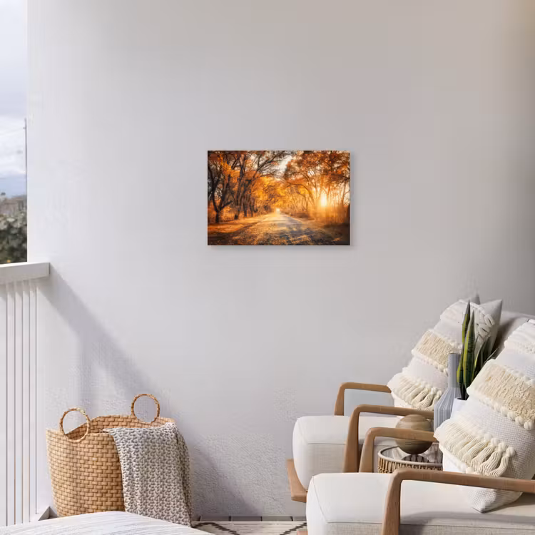 Buiten canvas - Bos - Herfst - Bomen - Bospad - Natuur — 4