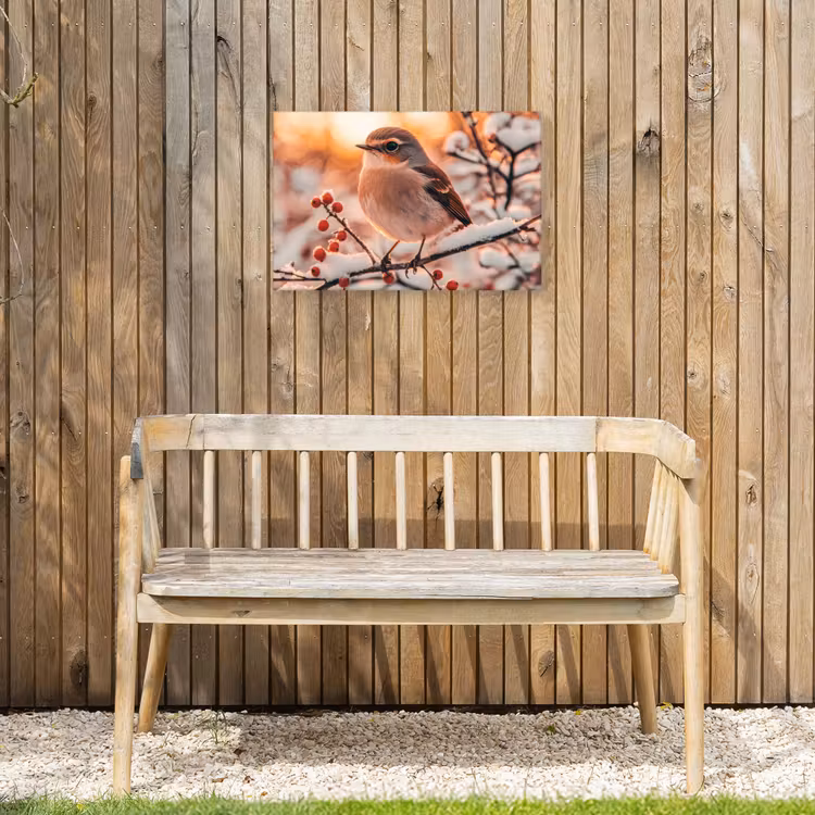 Buiten canvas - Vogel - Tak - Winter - Dieren - Sneeuw — 3