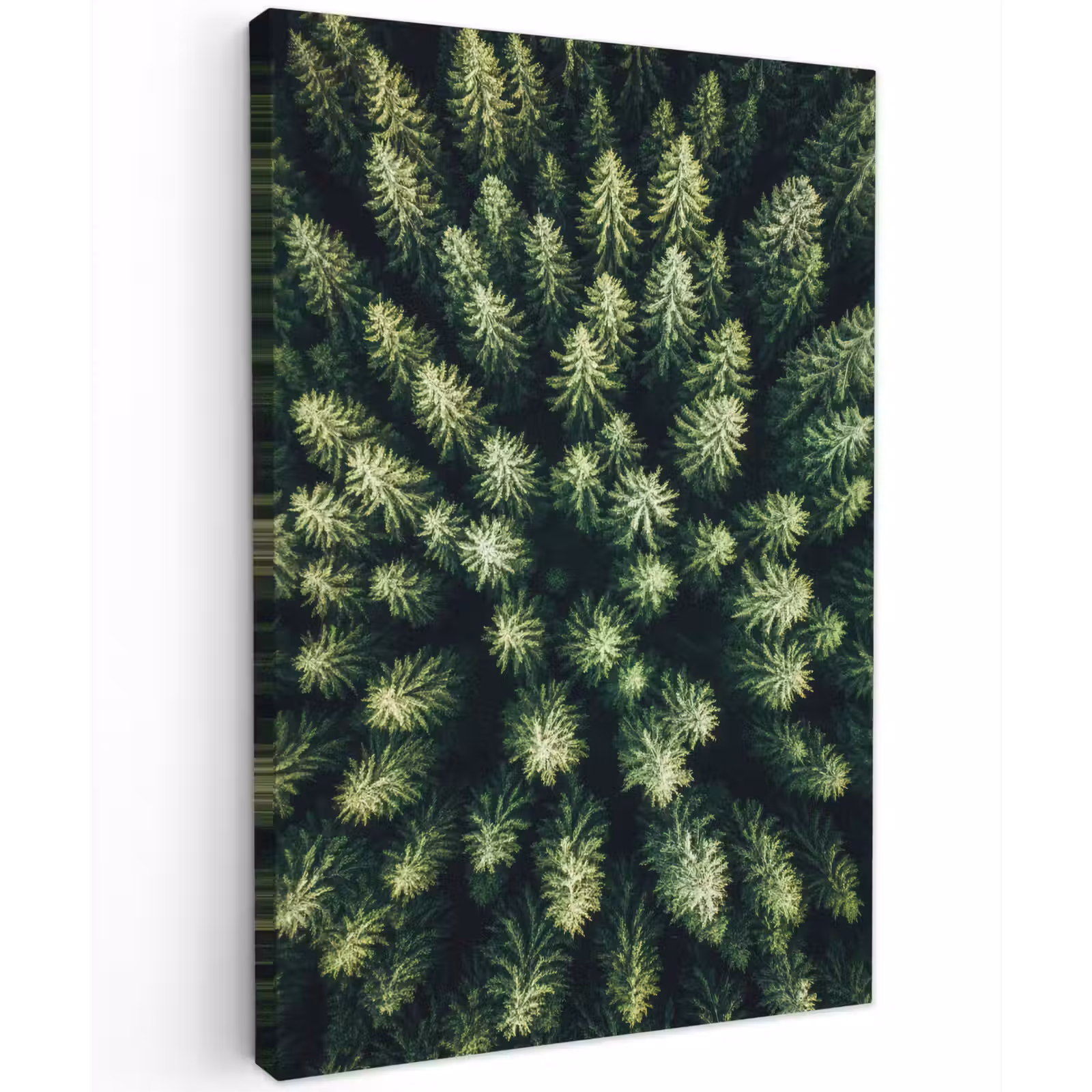 Buiten canvas - Bomen - Naaldwoud - Structuur — 1