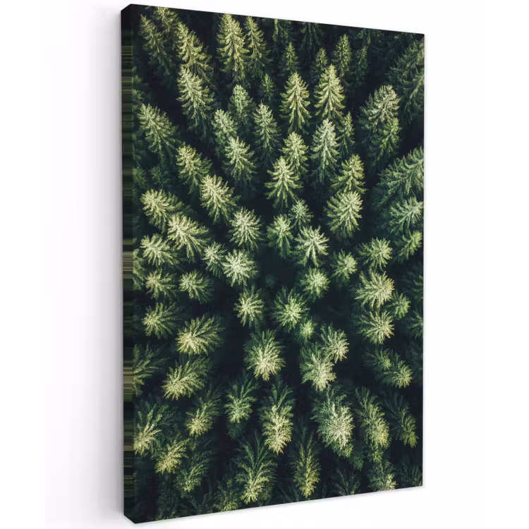 Buiten canvas - Bomen - Naaldwoud - Structuur — 1