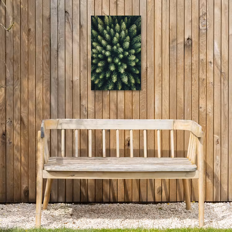 Buiten canvas - Bomen - Naaldwoud - Structuur — 3