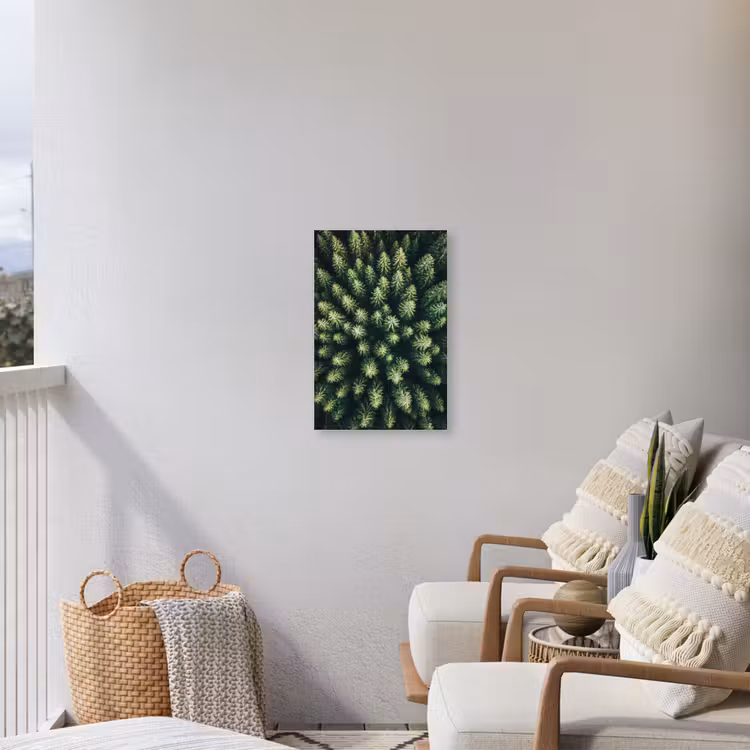 Buiten canvas - Bomen - Naaldwoud - Structuur — 4