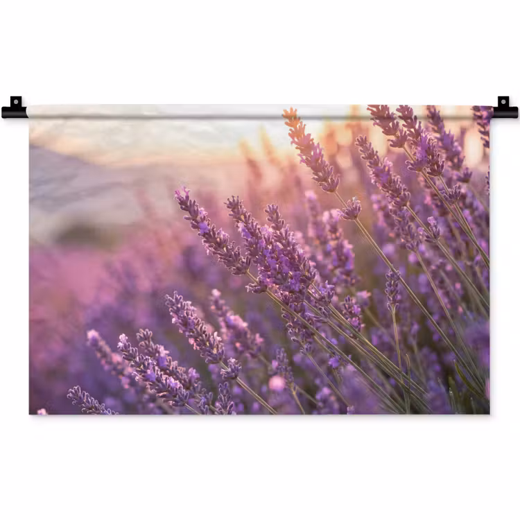 Wandkleed - Lavendel - Paars - Zonlicht