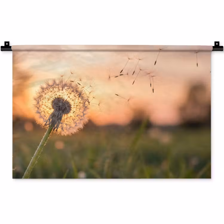 Wandkleed - Paardenbloem - Zonsondergang - Veld