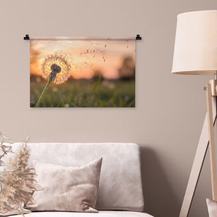 Wandkleed - Paardenbloem - Zonsondergang - Veld — 2