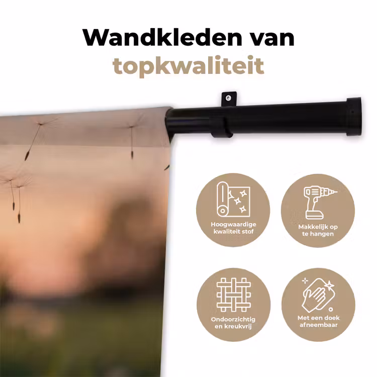 Wandkleed - Paardenbloem - Zonsondergang - Veld — 3