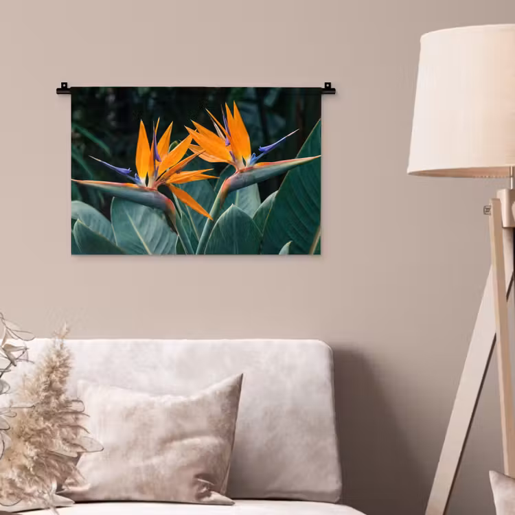 Wandkleed - Paradijsvogel - Bloem - Exotisch — 2