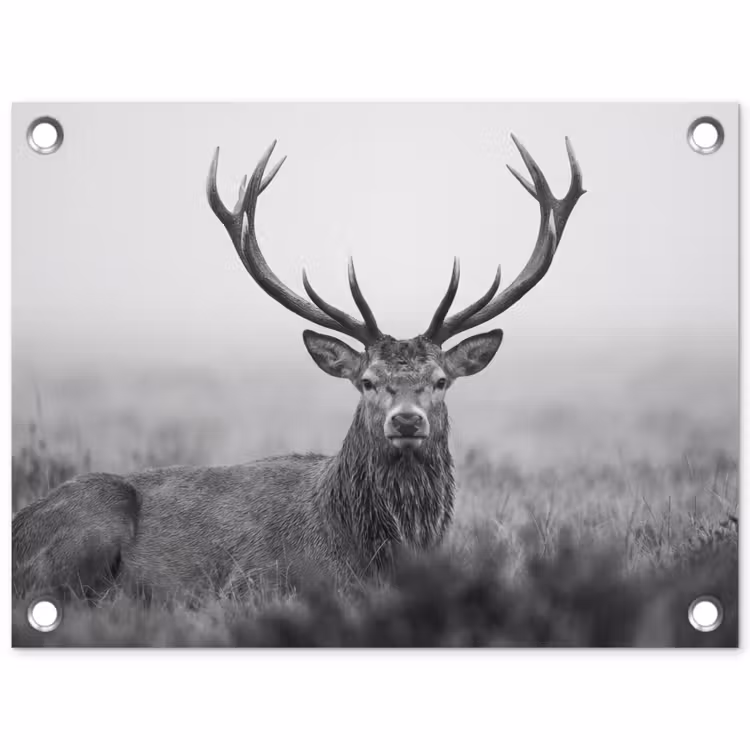 Tuinposter - Hert - Mistig - Zwart - Wit