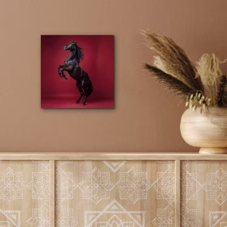 Aluminium schilderij - Hengst - Steigert - Rood — 5