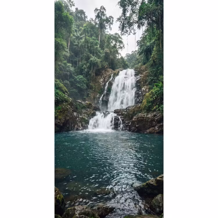 Behang - Waterval - Bos - Natuur - Groen — 2