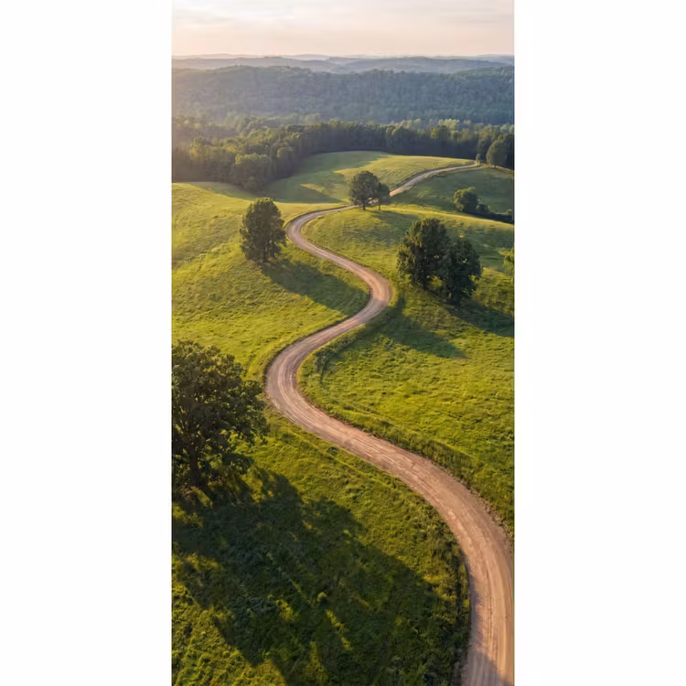 Behang - Weg - Weide - Natuur - Groen — 2