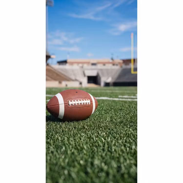 Behang - American Football Bal op Grasveld — 2
