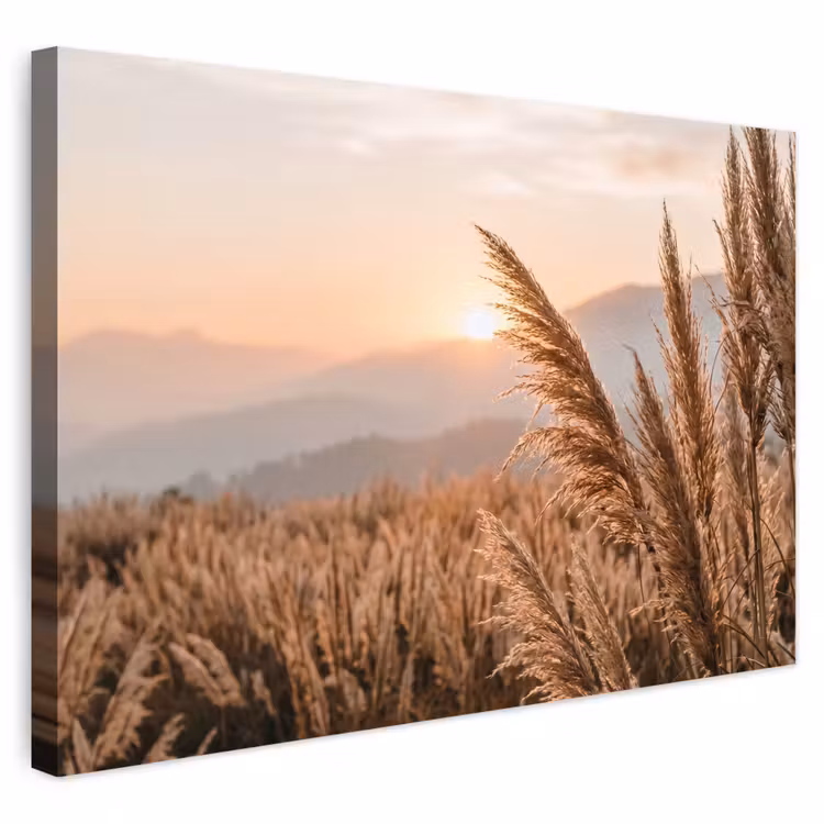 Buiten canvas - Pampagras Zonsondergang Bergen
