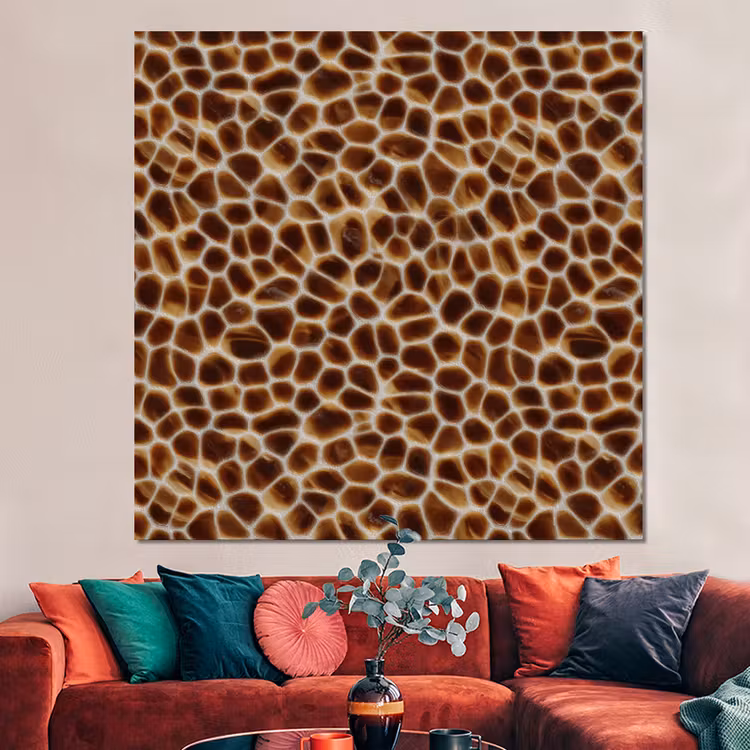 Forex - Schildpad - Bruin - Patroon — 3