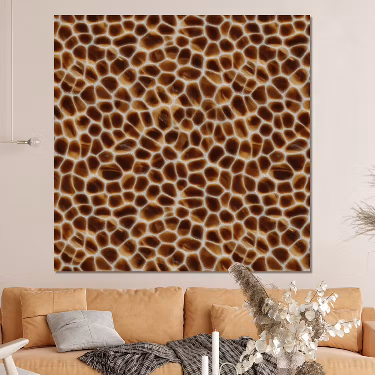 Forex - Schildpad - Bruin - Patroon — 4