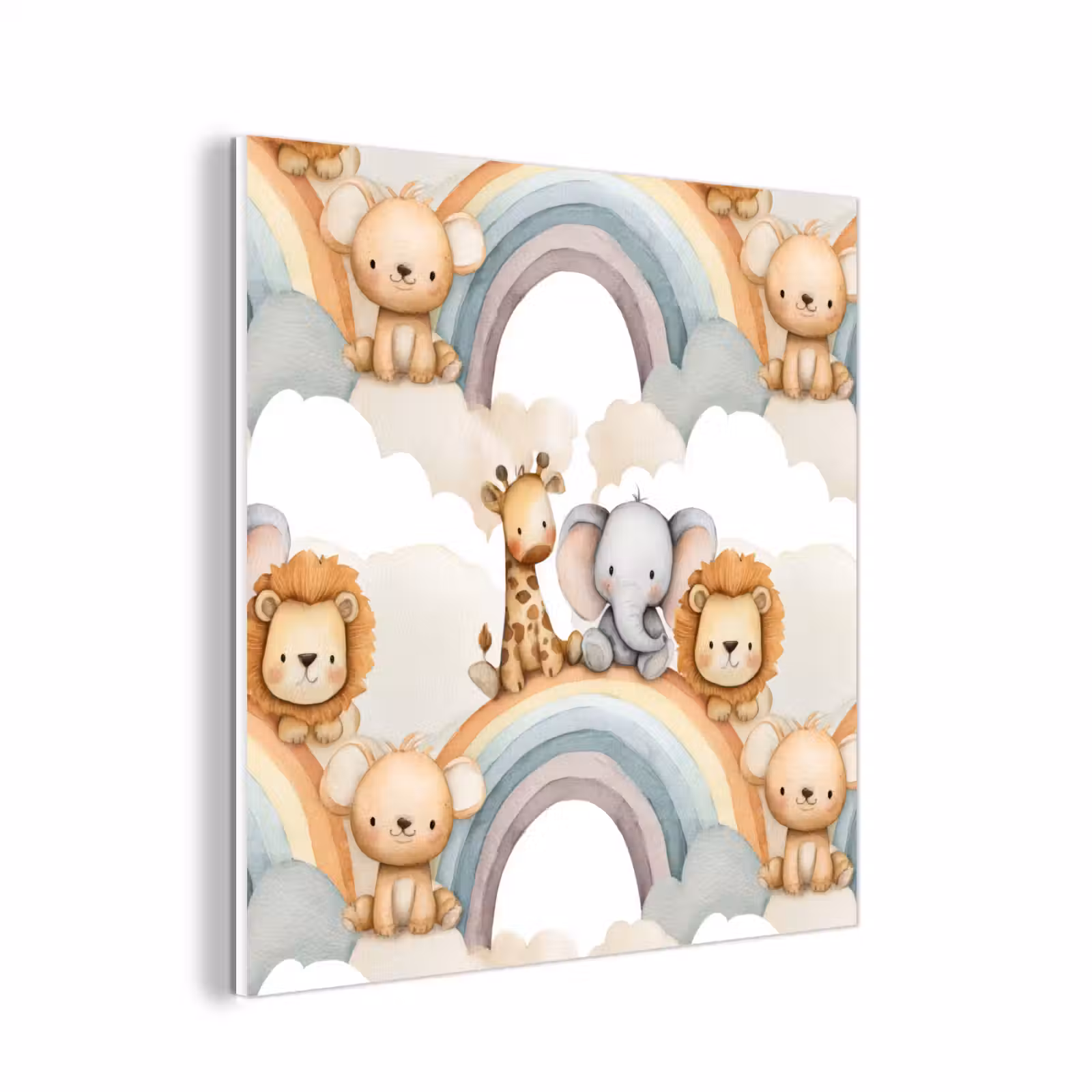 Forex - Safari - Regenboog - Kleurrijk — 1