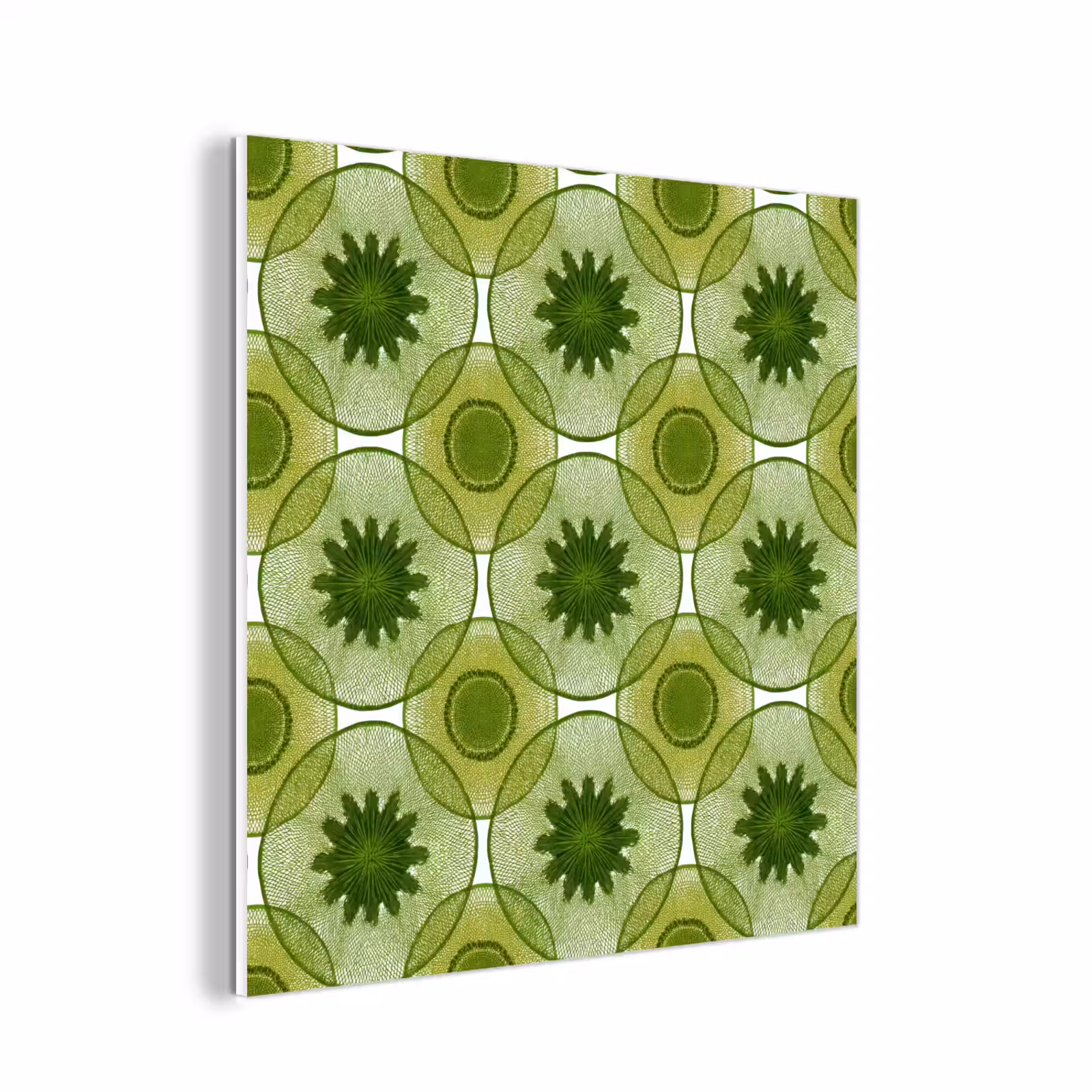 Forex - Cirkels - Patroon - Groen — 1