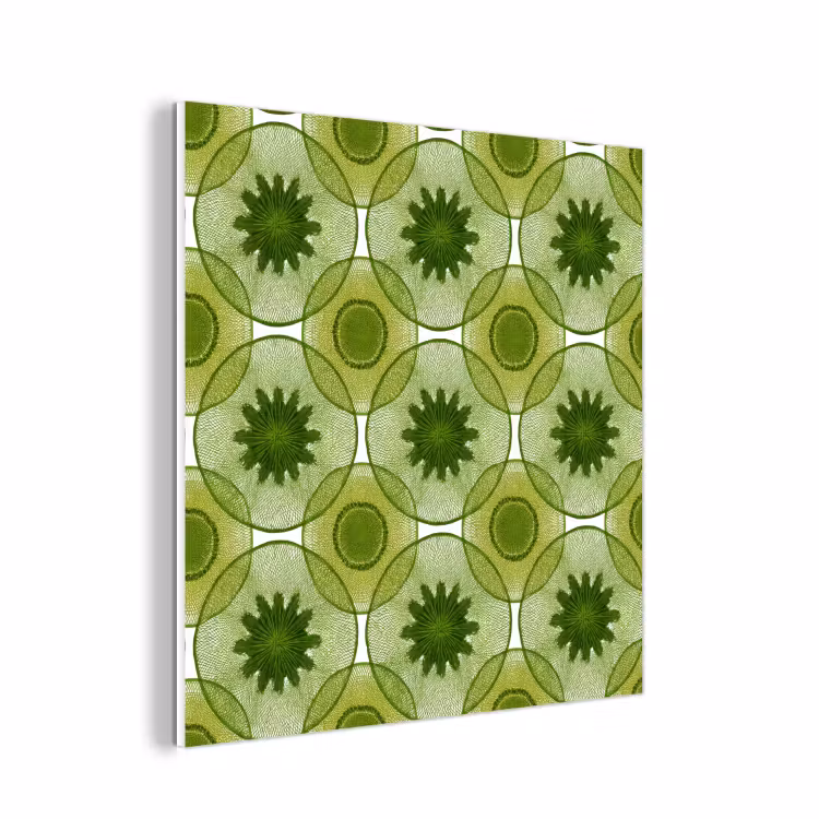 Forex - Cirkels - Patroon - Groen — 1