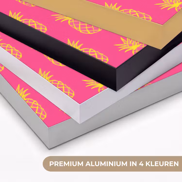 Art Frame - Ananas - Trendy - Roze — 2