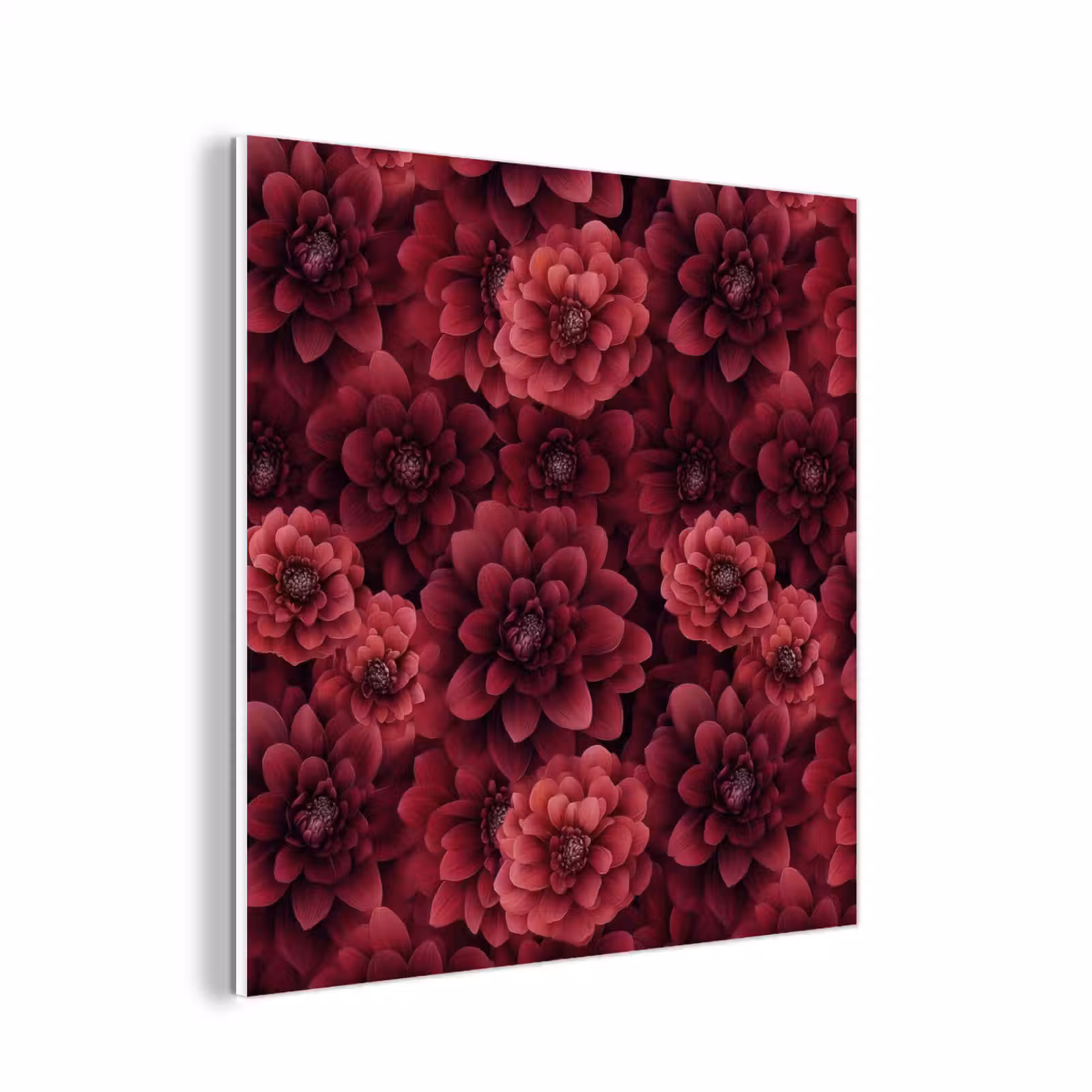 Forex - Dahlias - Bloemen - Rood — 1