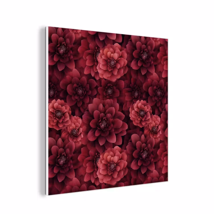 Forex - Dahlias - Bloemen - Rood — 1