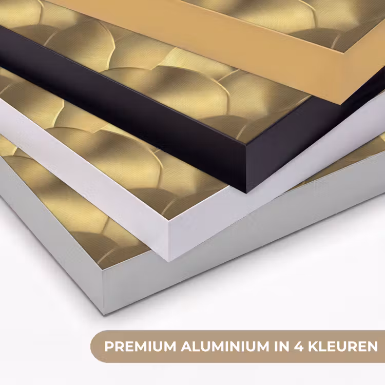 Art Frame - Modern - Cirkel - Goud — 2