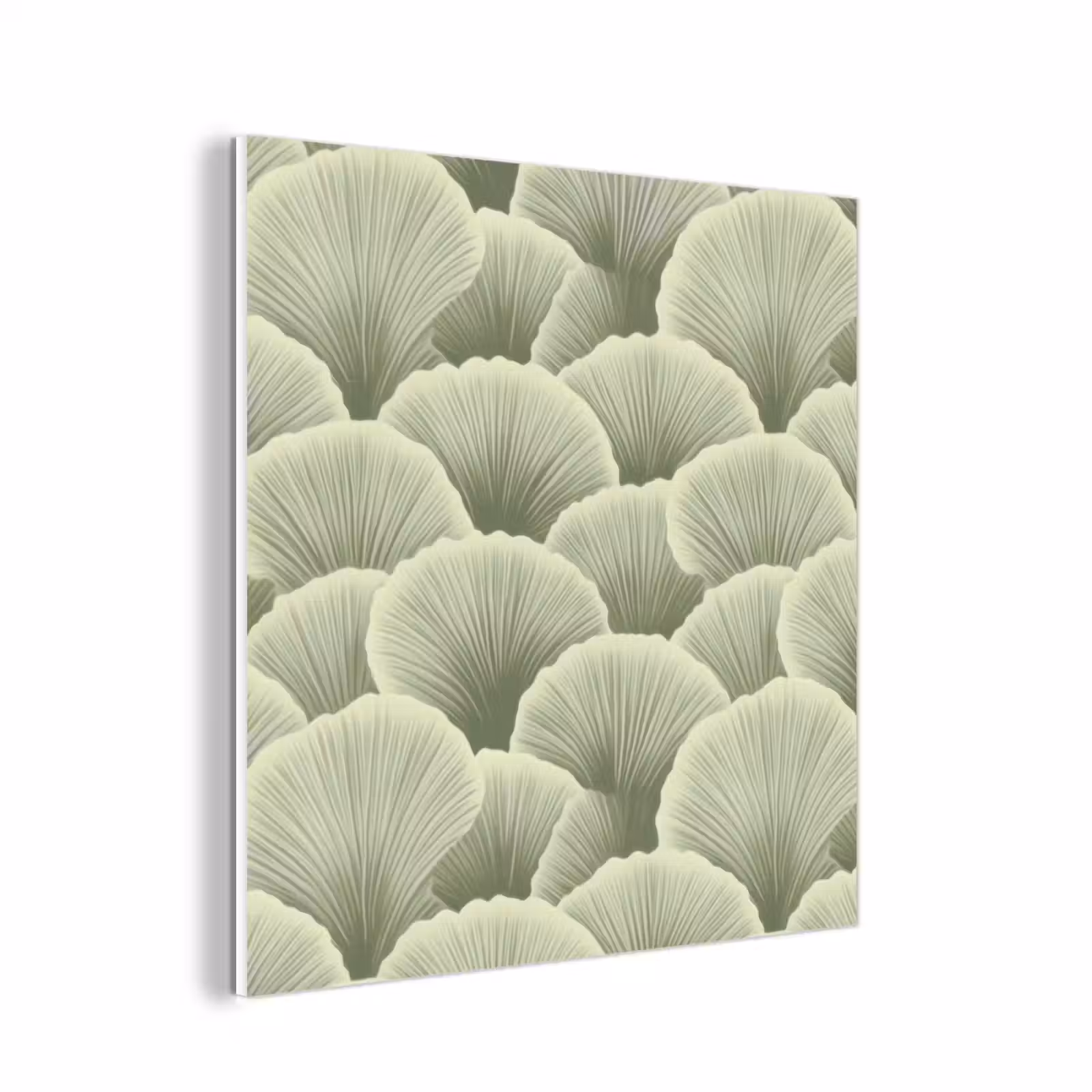 Forex - Waaier - Blad - Groen — 1