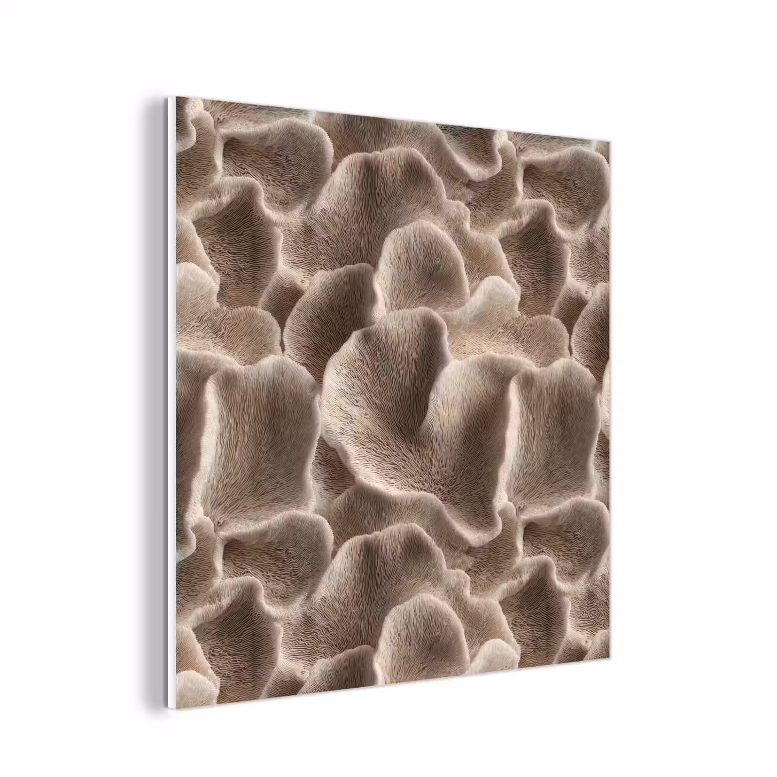 Forex - Waaiervorm - Beige - Vezel textuur — 1