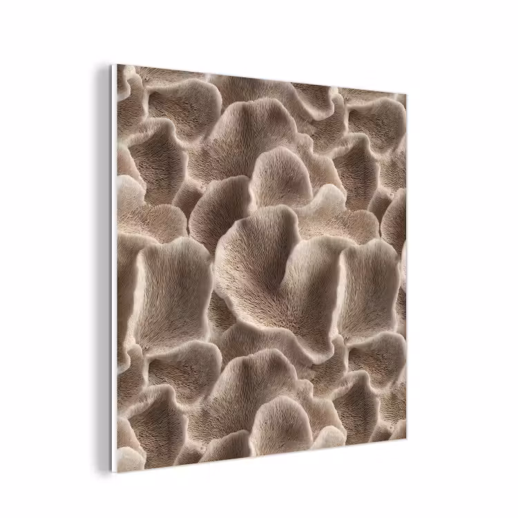 Forex - Waaiervorm - Beige - Vezel textuur — 1