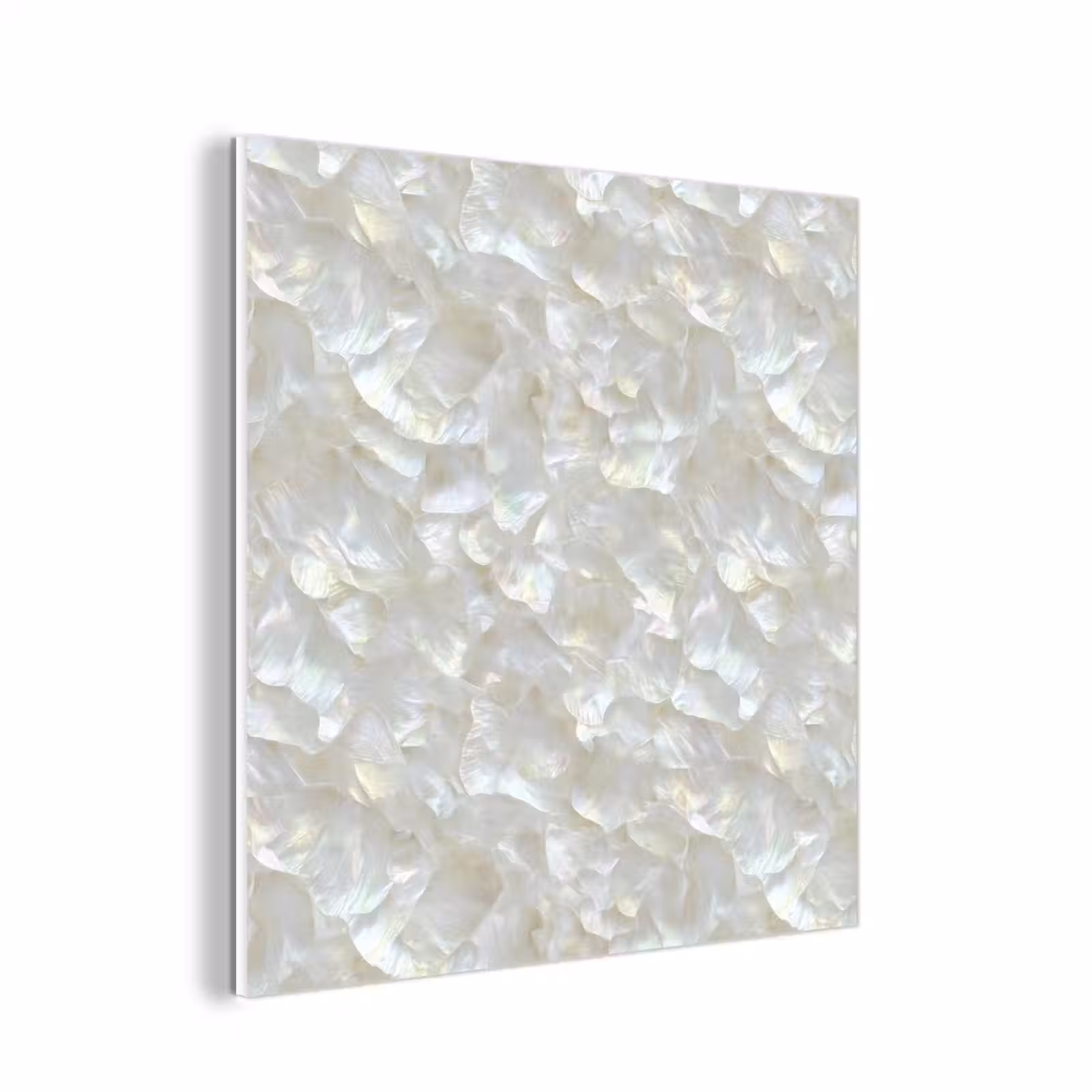 Forex - Parelmoerglans - Wit - Schelp — 1