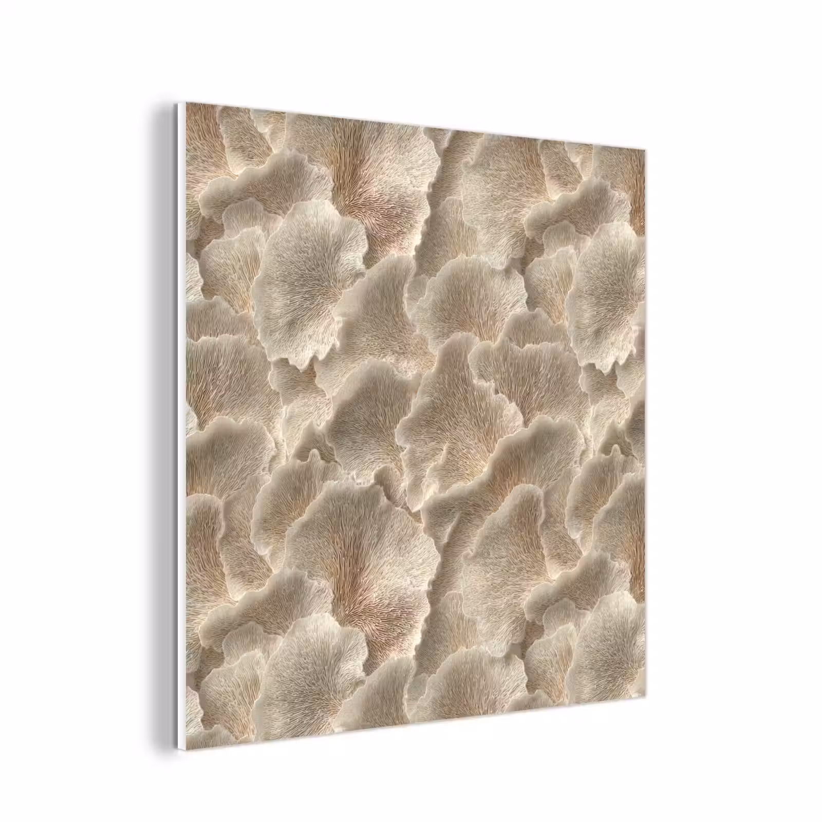Forex - Waaierstructuren - Beige - Vezeltextuur — 1