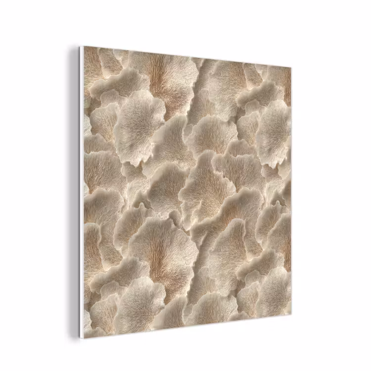 Forex - Waaierstructuren - Beige - Vezeltextuur — 1