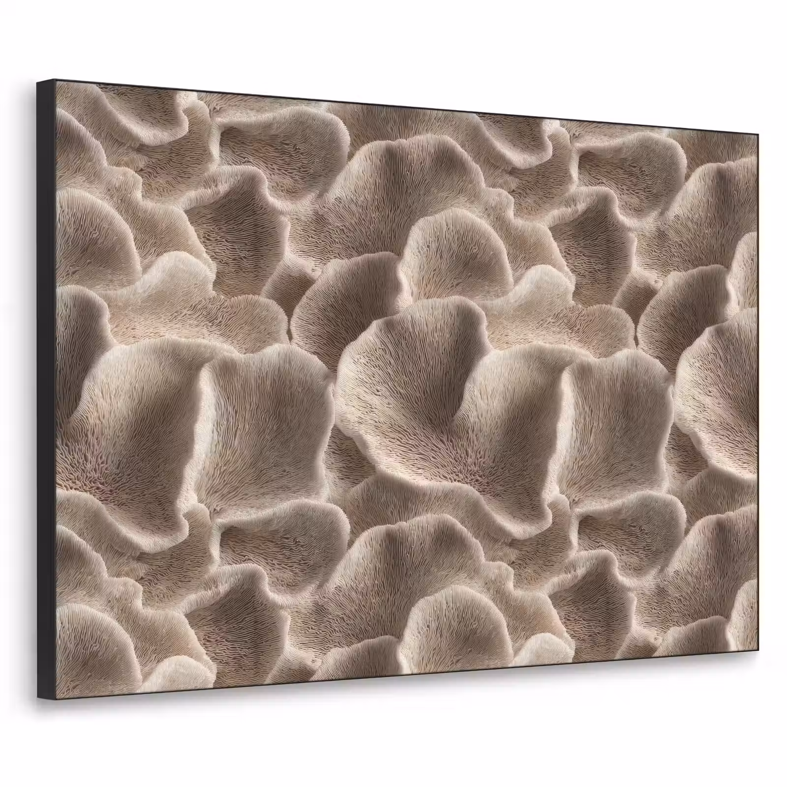 Art Frame - Waaiervorm - Beige - Vezel textuur — 1