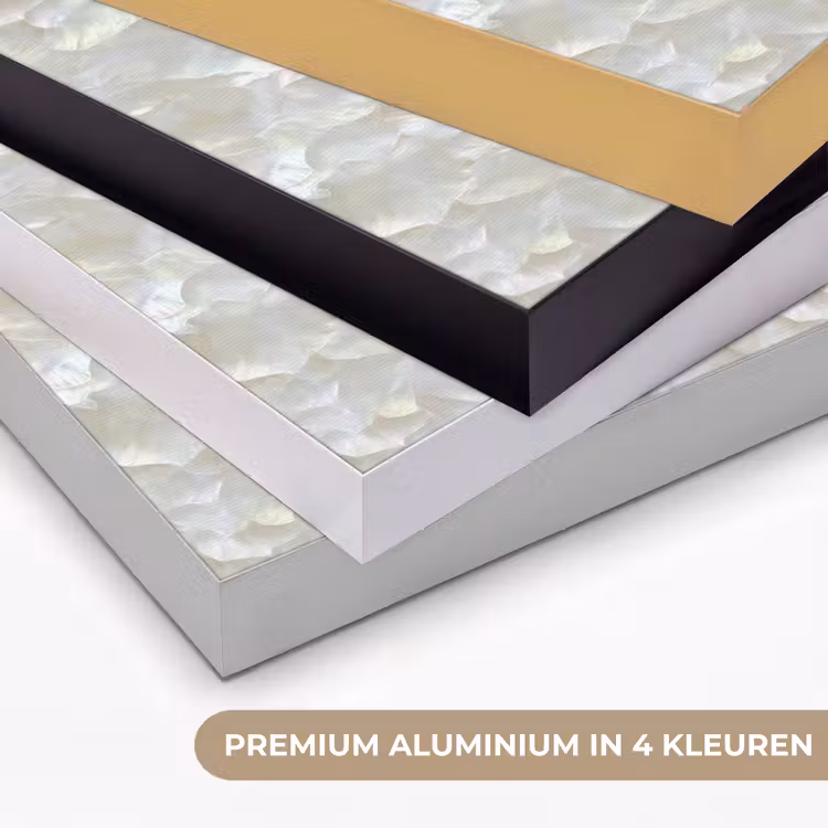 Art Frame - Parelmoerglans - Wit - Schelp — 2